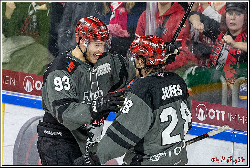 DEL; Koelner Haie - Straubing Tigers, 02.12.2018